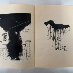 http://www.nunezdelar.co/files/gimgs/th-22_IMG_0646.jpg